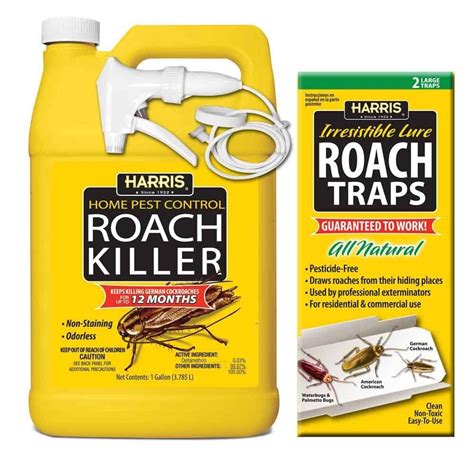 professional strength roach killer